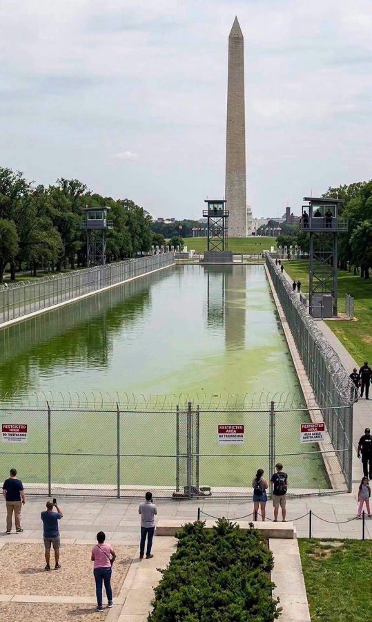 Byukusenge01's tweet photo. The $14M Reflecting Pool algae crisis proves we can't paint over biology. We must scale nature-based filtration, not fight ecosystems with chemicals.

#NatureBasedSolutions #GreenInfrastructure #SystemsThinking #EcologicalEngineering #ReflectingPool
l https://t.co/iAp9xdKtGP