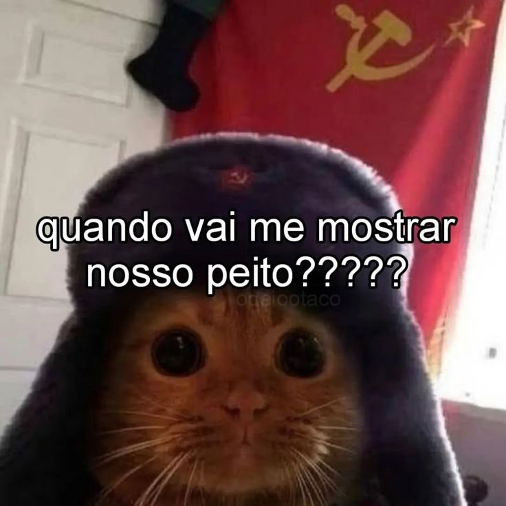 odeiootaco's tweet photo. quando https://t.co/a1dWsqn2yy