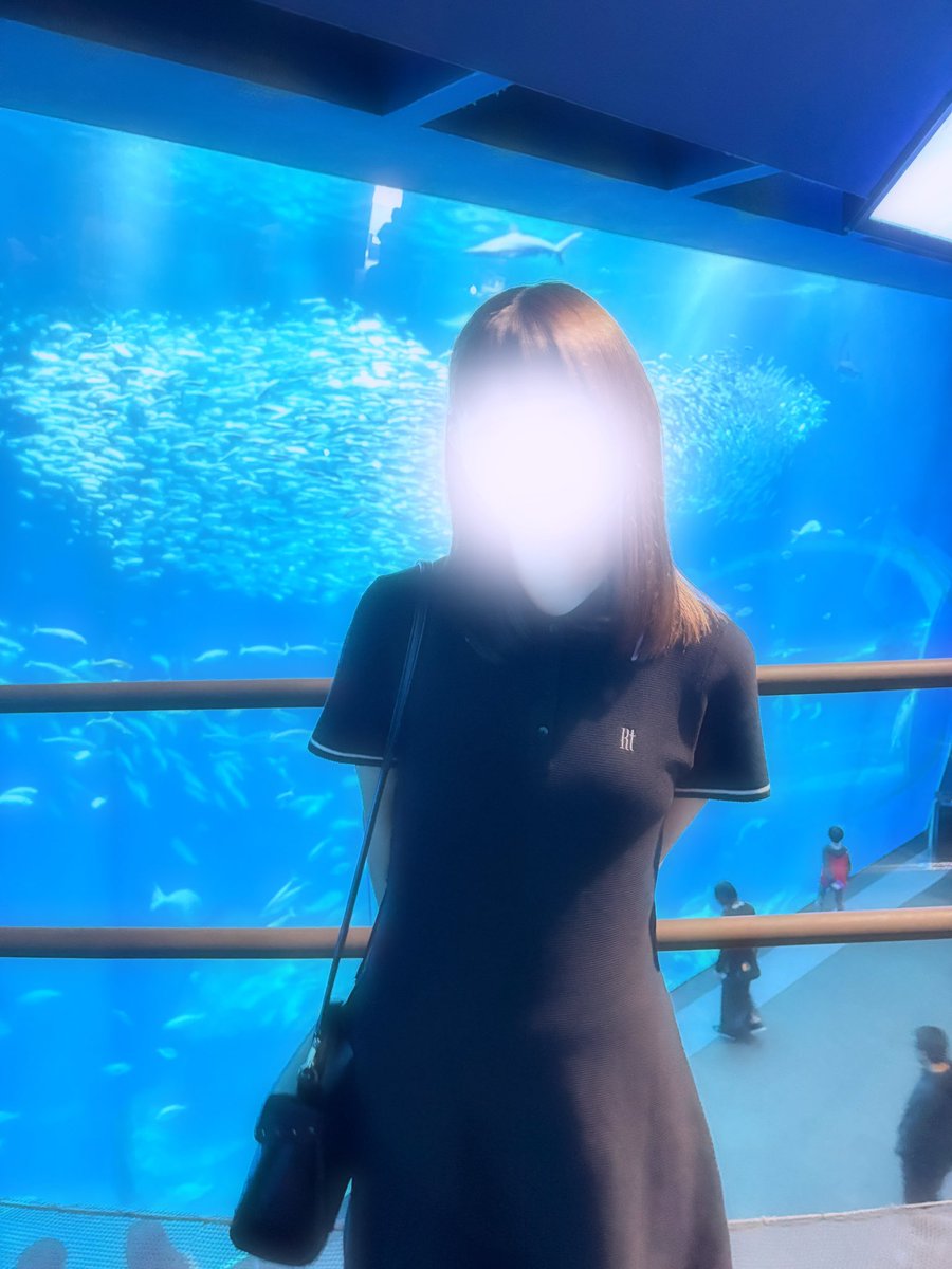 nabe12_34's tweet photo. 水族館また行きたいな https://t.co/J7QDNzs07d