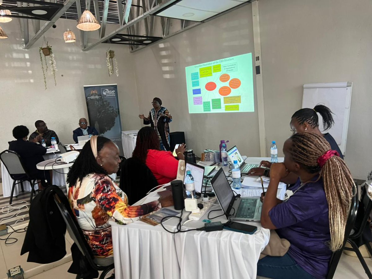 Indigenousinnet's tweet photo. Day 1 of the Indigenous Peoples Onboarding &amp; Co-Design Workshop advanced inclusive biodiversity governance in Kenya’s NBSAP . Key focus: FPIC, stakeholder coordination &amp; aligning with the Kunming-Montreal Framework—ensuring Indigenous voices lead conservation. #KenyaNBSAP #FPIC https://t.co/xzODhTTaqC