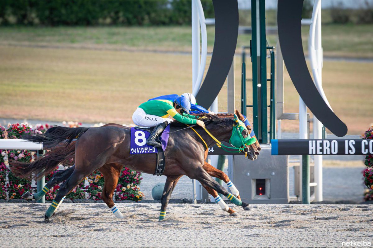 oi_ktzo's tweet photo. 🥈 Wilson Tesoro's Silver Collection:

International G1
3 × Champions Cup
2 × Tokyo Daishoten
1 × February Stakes

Domestic G1
1 × Korea Cup*
1 × Teio Sho
1 × Sakitama Hai

Total: 9

----

* 2024 Korea Cup is rated as an International G3, but it counts as a Domestic G1. https://t.co/KEkwTW0F3A