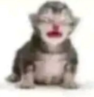 thisism3trying_'s tweet photo. hacks terminó conmigo https://t.co/PUpUjuTdrm