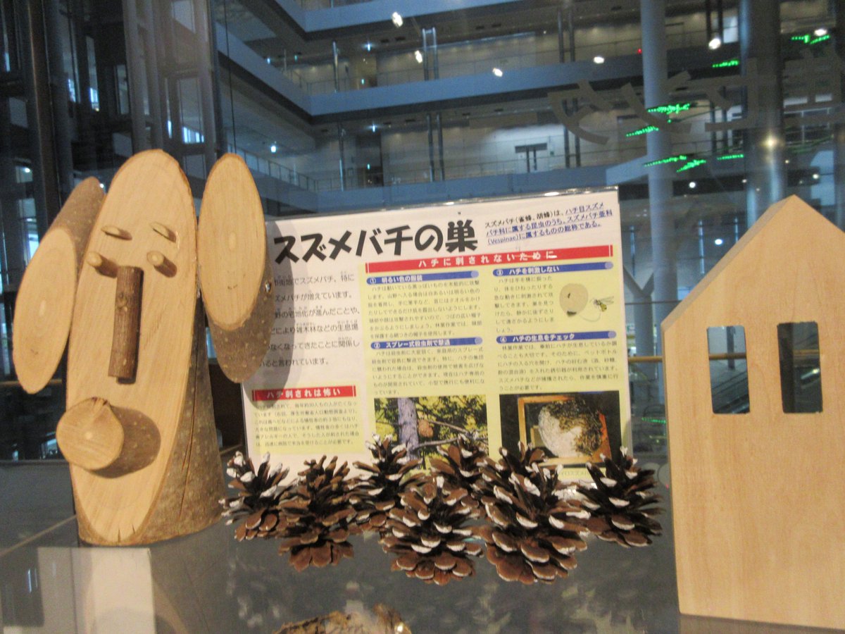 iwate_eco's tweet photo. 今日もご利用ありがとうございました。明日も開館しています。気を付けてきてくださいね。　　　　　　　　　　　　　　　＃環境学習交流センター　＃岩手県地球温暖化防止活動推進センター　＃盛岡駅西口
＃キオクシアアイーナ https://t.co/U9Un7X8PIk