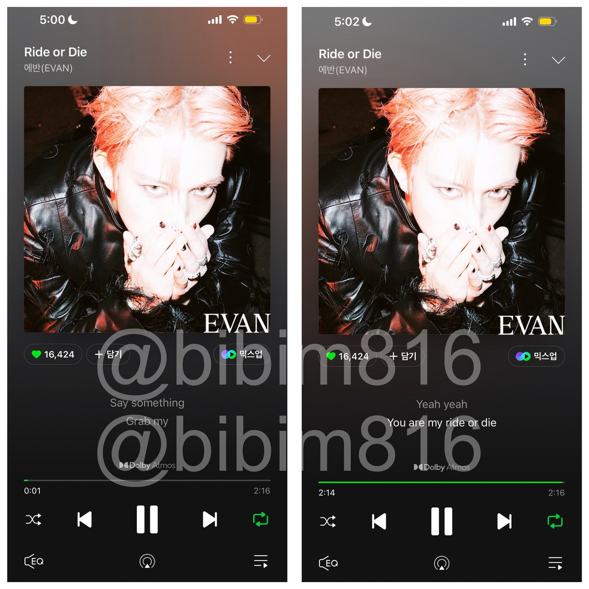 bibim816's tweet photo. #에반과_함께_RideorDie https://t.co/tvr9AavO8k