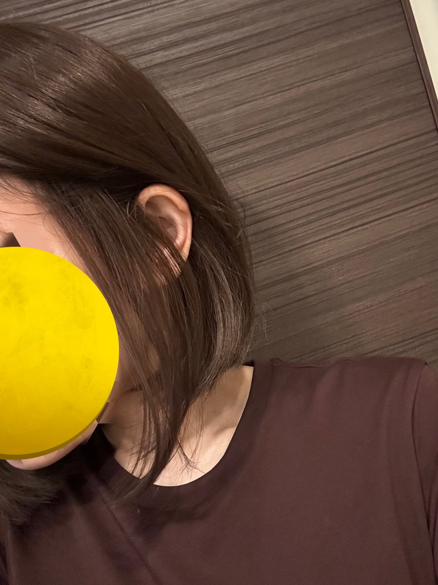 Cho_superstrong's tweet photo. リネアストリア　天使のボブ(チョコブラウン) 
全体的に毛量多い、特に前髪多すぎる(だいぶ梳きまくってこれ)けど結構自然かな！もみあげある安心感すごい。しかもワイヤー入ってて顔に沿わせられる https://t.co/y7y0I9zGjV