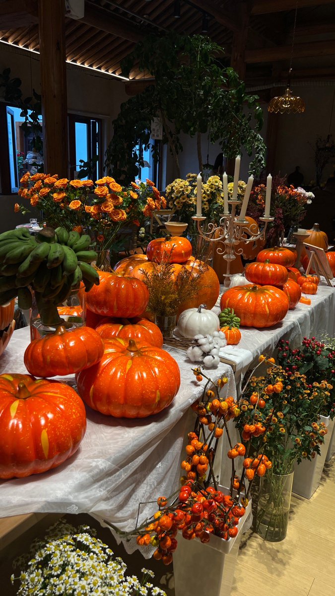 Laura_099's tweet photo. This Thanksgiving, let’s fill our tables with gratitude and our hearts with joy. Happy Thanksgiving to all! https://t.co/3xTeA3GqSC