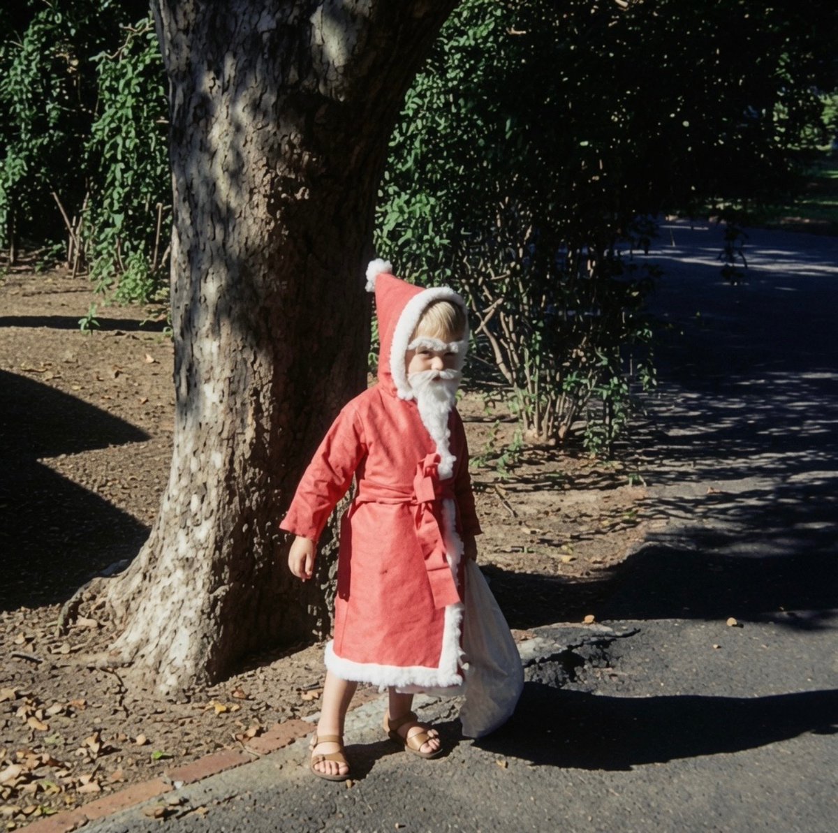 cb_doge's tweet photo. Elon Musk’s 55th birthday is this Sunday.

Here’s a photo of him dressed as Santa Claus when he was 5 years old. https://t.co/ViMxYfT3AG