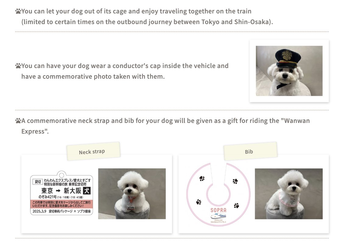 Zeeko__Sol's tweet photo. Japan have just opened up a bullet train service specifically for dogs called 'Wanwan Express" which translates to "woof woof express" 🤣

3 Million views already in just a few hours 

The most typical Japanese service ever...this news will keep going super viral throughout the day

https://t.co/pk4zX99i33