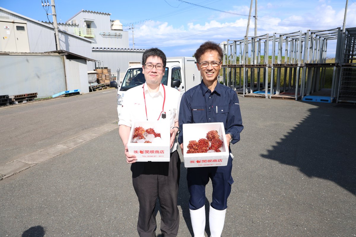 iwatehironotown's tweet photo. 町の特産品ホヤを全国に届ける「天然ホヤゆうパック」の受け付けが始まり、商品を提供するカネセ関根商店（関根篤志社長）の本社工場前で6月25日、出発式が開催されました。
天然ホヤゆうパックは、鮮度の高さが好評で、一度食べたらやみつきに。今年のホヤも身が大きく甘みとうま味が増しています。 https://t.co/qy85Yj7BUr