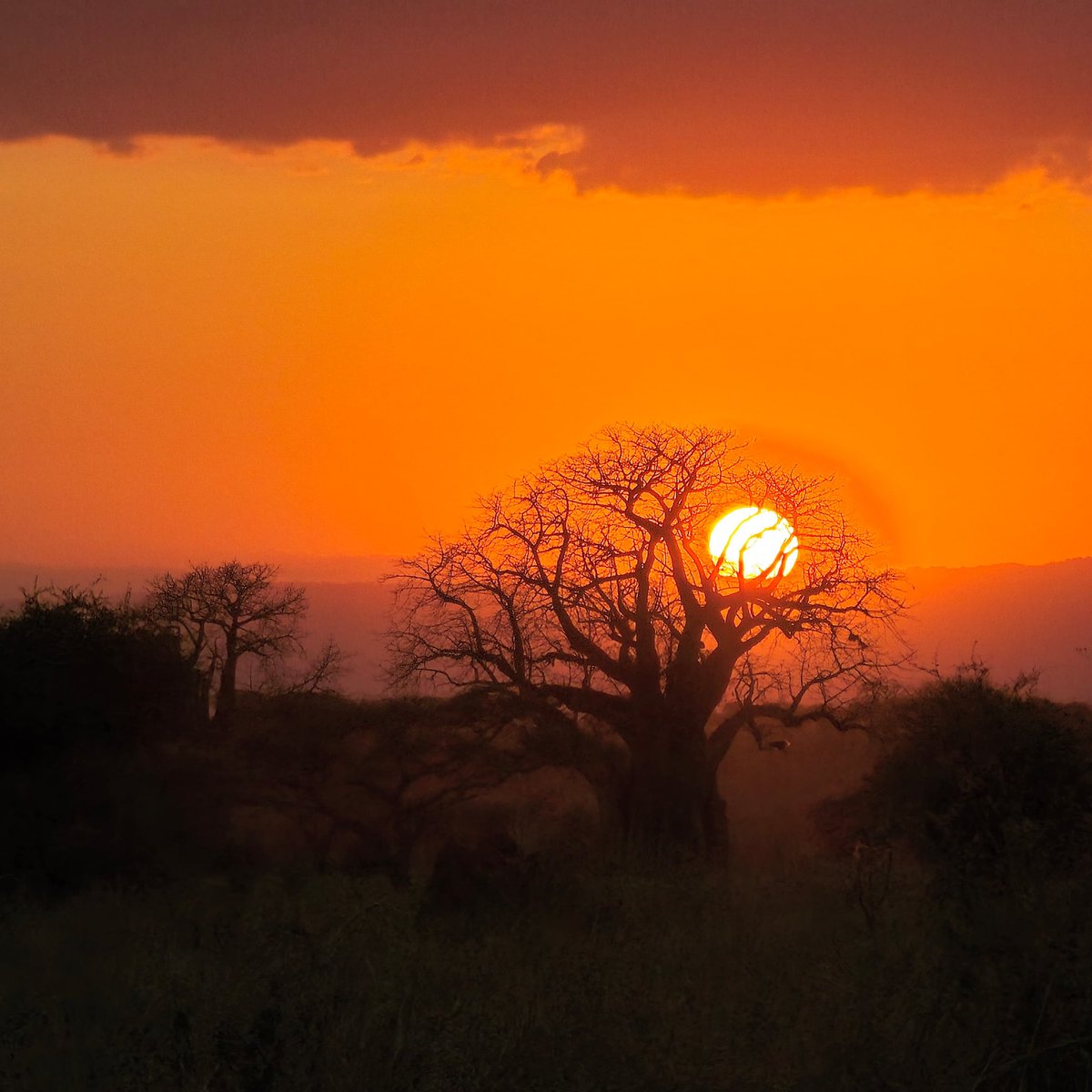ClassicExplore1's tweet photo. Step into the wild,where curated adventures meets timeless luxury. From the roar of lions to the warmth of your hosts,discover a world where adventure &amp; comfort live in perfect harmony. Book now✨️ 

🔗 https://t.co/ydC1buLoTV 
📧 info@classic-explorers.com 
☎️+254 722 409 869 https://t.co/fBjA9Gitvi
