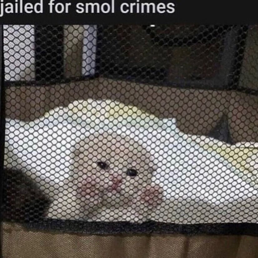 catsdotjpg's tweet photo. https://t.co/1mcrnXJtNQ