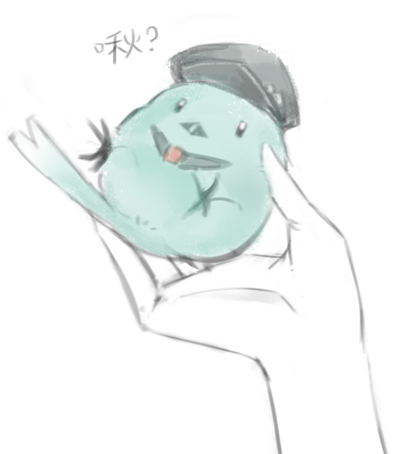 YASHIRO___O's tweet photo. 看看可愛的副官寶寶🐦 https://t.co/VarX73SLJV
