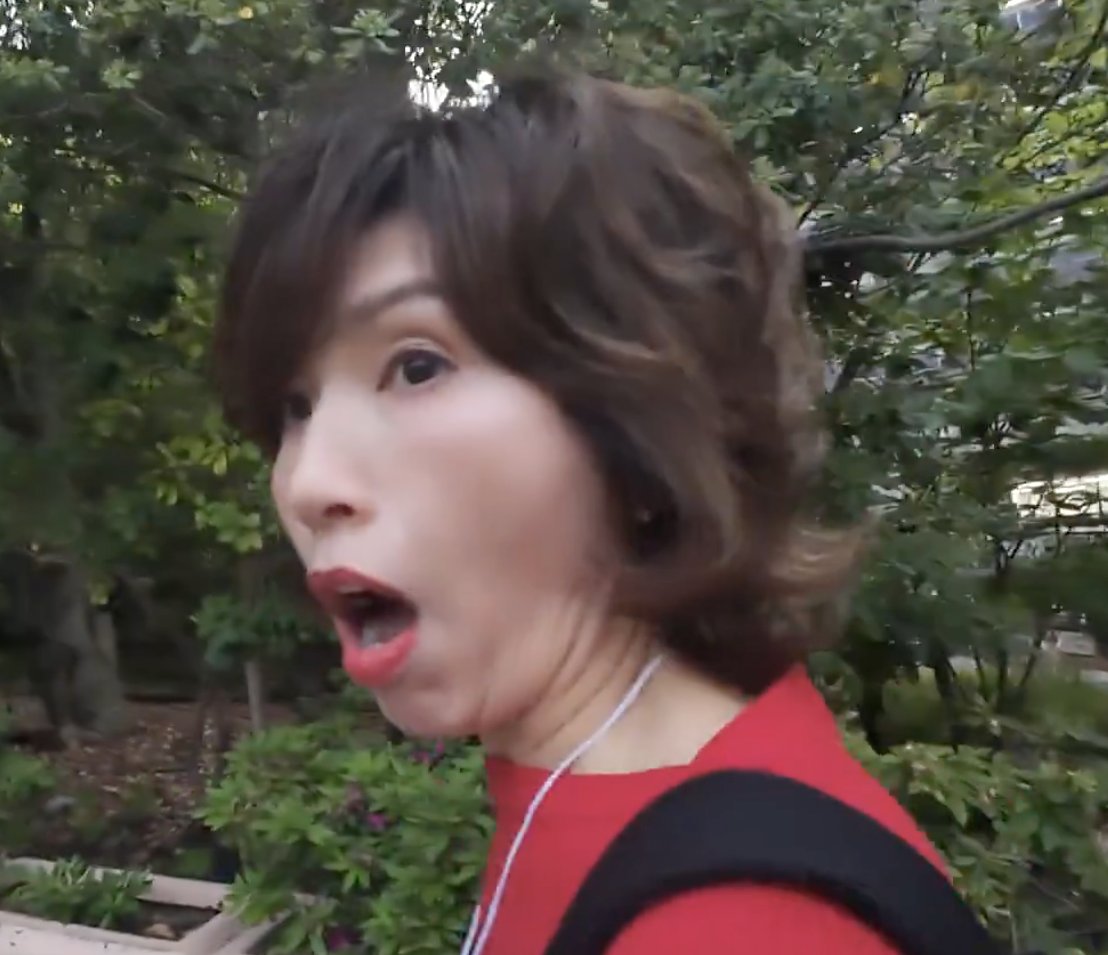 nanbafumio3's tweet photo. これが人間としての品格の違いです。誰がどう見ても明らかです。右の人はただただアホっぽく下品。現実というのは残酷である。 https://t.co/7R1EDk0ZP1
