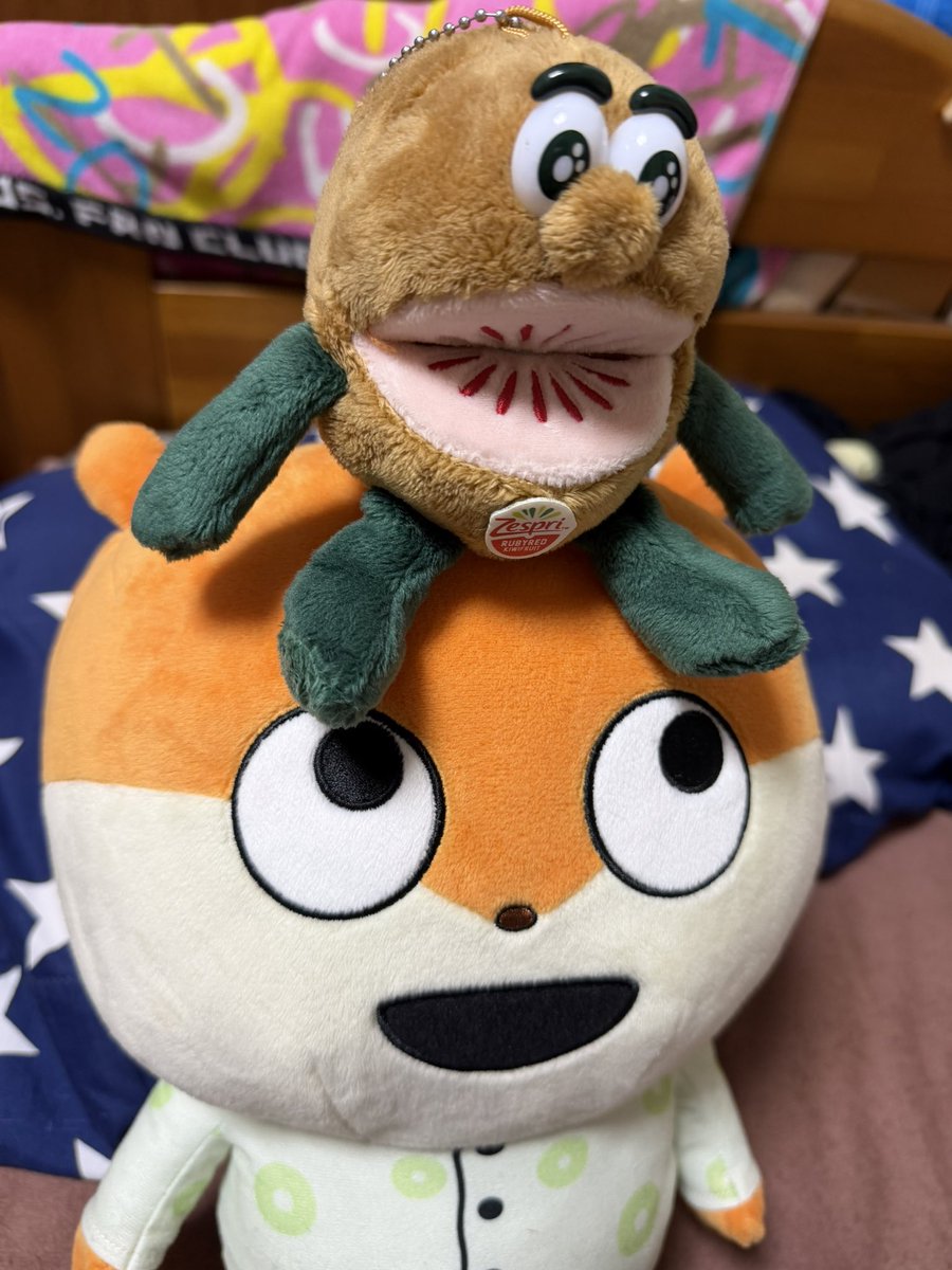 a_a_ug_73's tweet photo. あ！ゼスプリくん🥝🥝🥝🥝
#こねずみ
#ゼスプリ
#キウイ https://t.co/9Oje0wCeOo