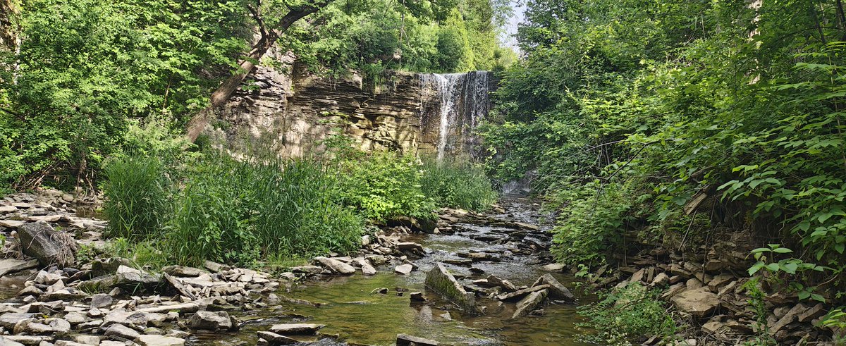 TrashBoi__'s tweet photo. Went on an adventure to a hidden waterfall yesterday 🫪 https://t.co/dRdAl88mPQ