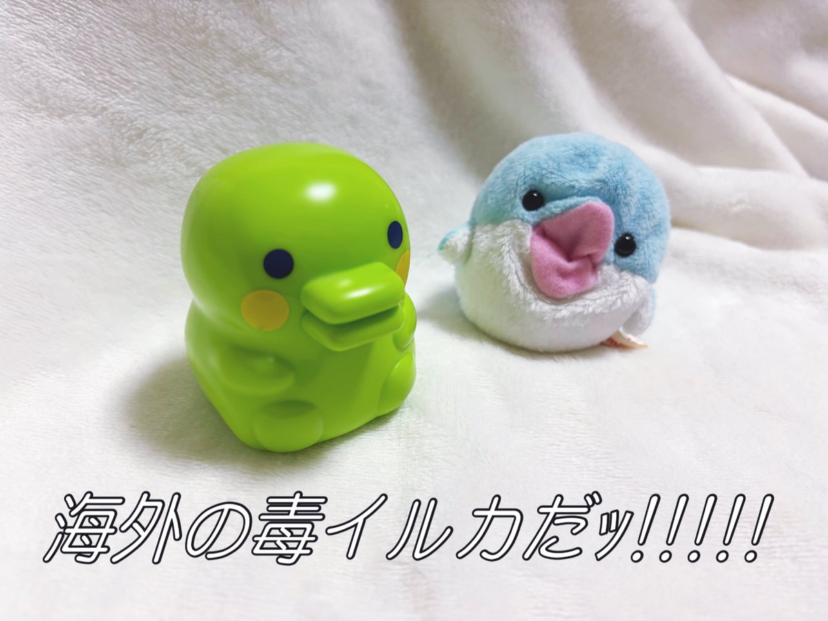 ふじこ (@fujiko_com) / Posts / X