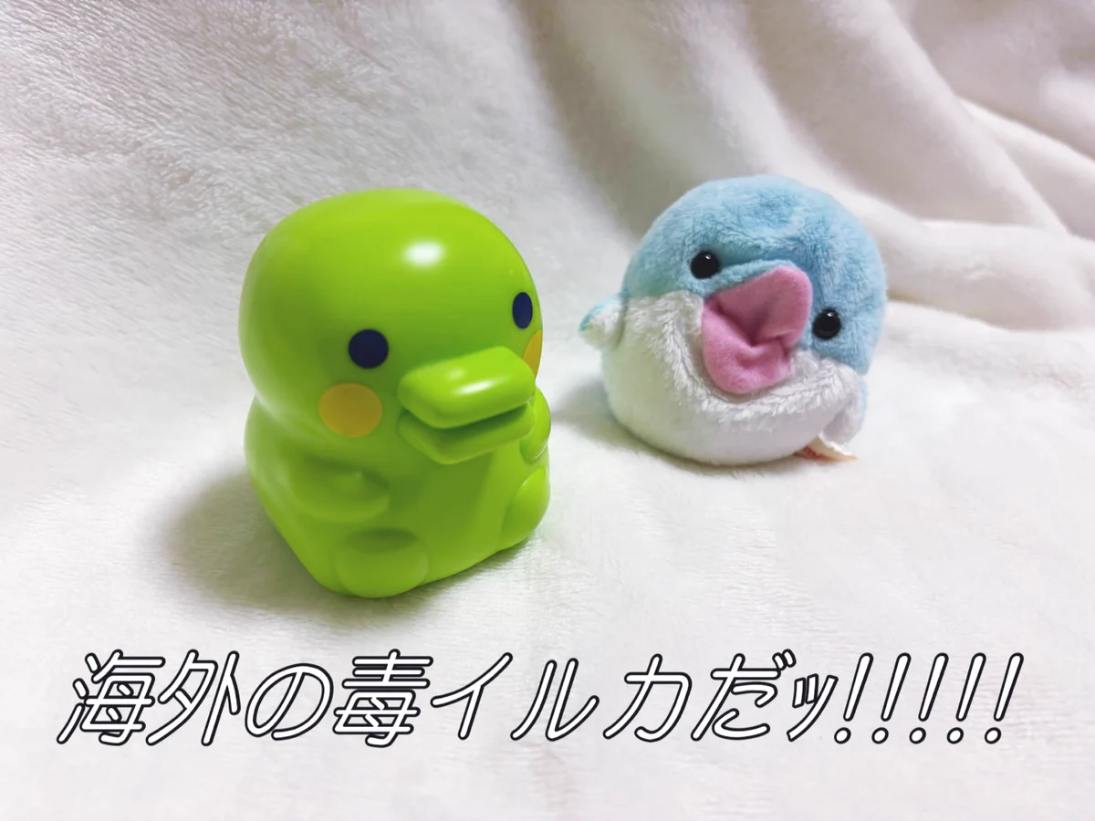 Reposts by ぴょん (@pyon___tmgc) / X