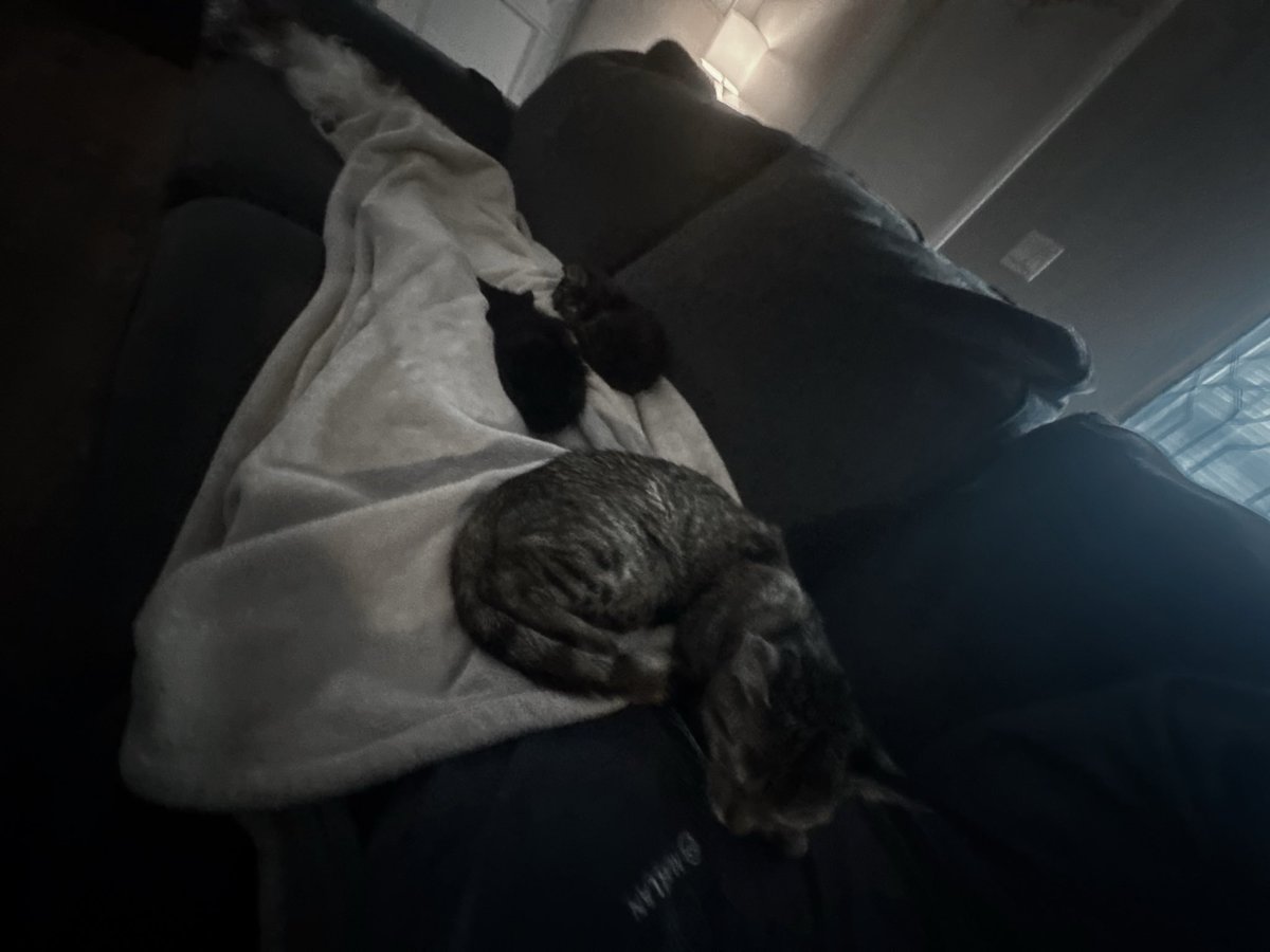 urtragedyyy's tweet photo. https://t.co/nTGxTz2il2