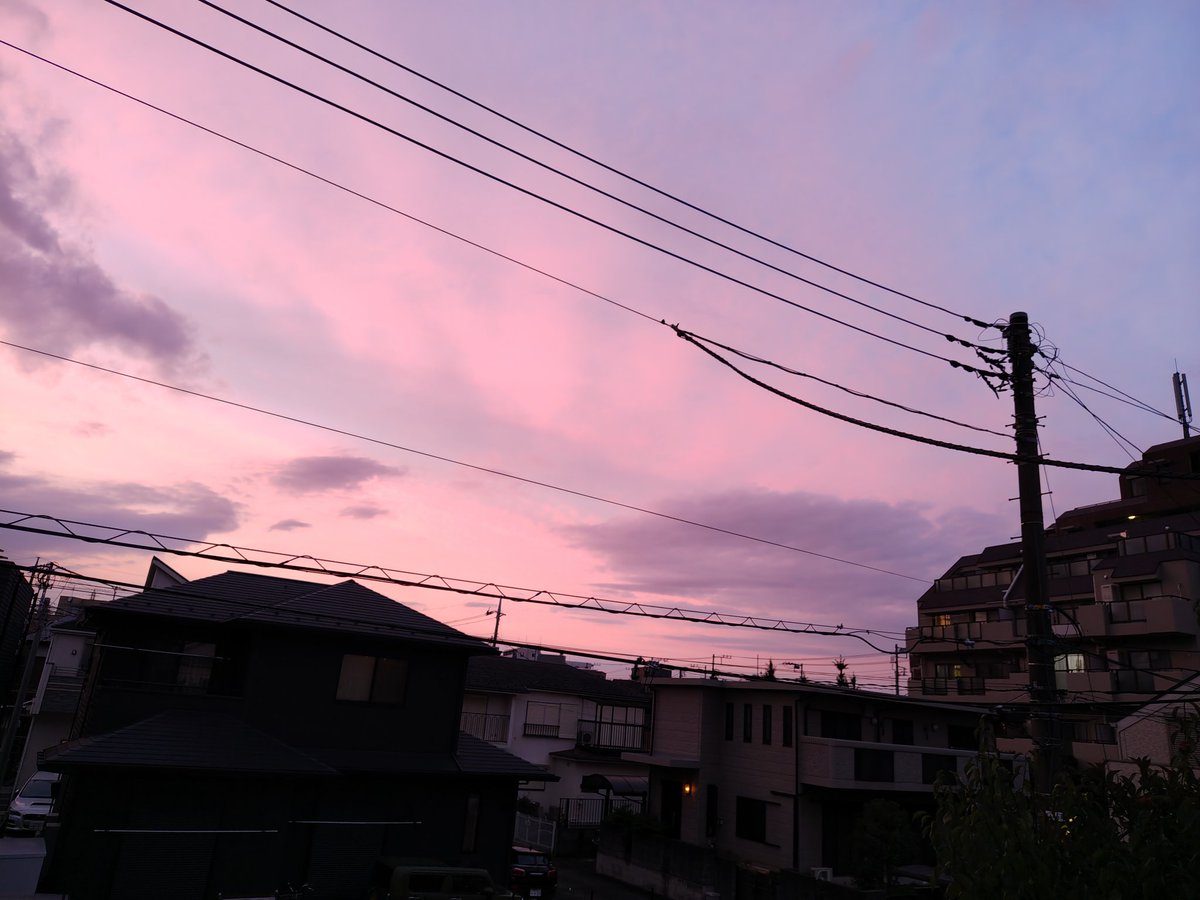 pine_bell tweet picture