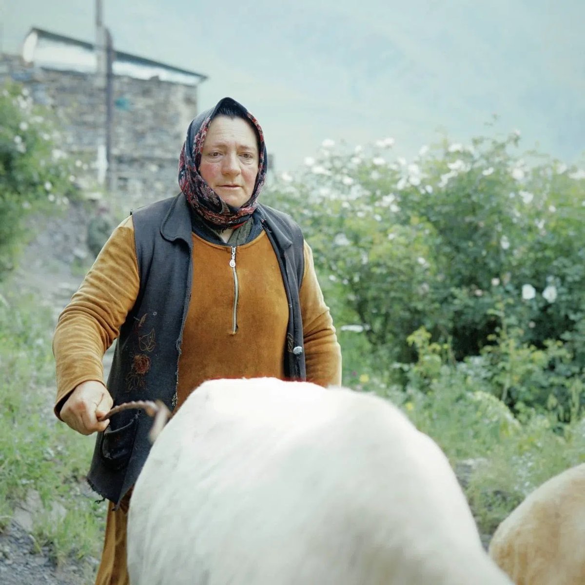 caucasusvisuals's tweet photo. The Lezgin village of Gdym, Dagestan.

aspirina05 / IG https://t.co/NeQ3PtbuCj