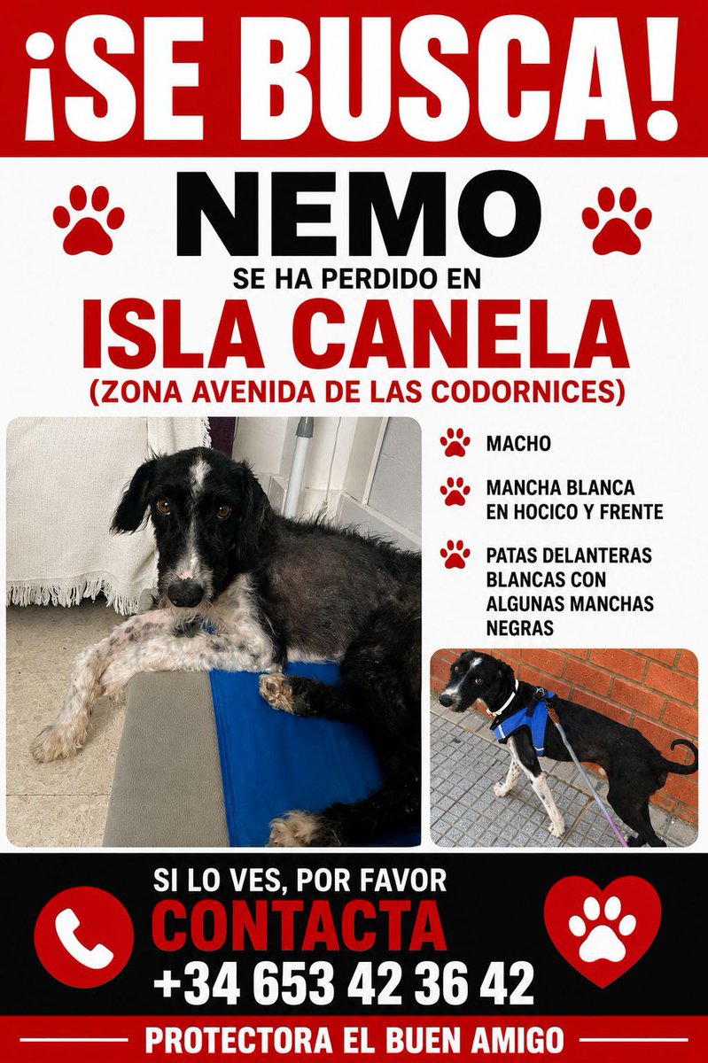 Cassandracass50's tweet photo. Nemo sigue sin aparecer, tengo pocas esperanzas de que siga vivo pero os pido seguir difundiendo por favor.
Gente de Huelva, sobre todo!!
🙏🙏🙏🙏🙏 https://t.co/IksBYhfjPn