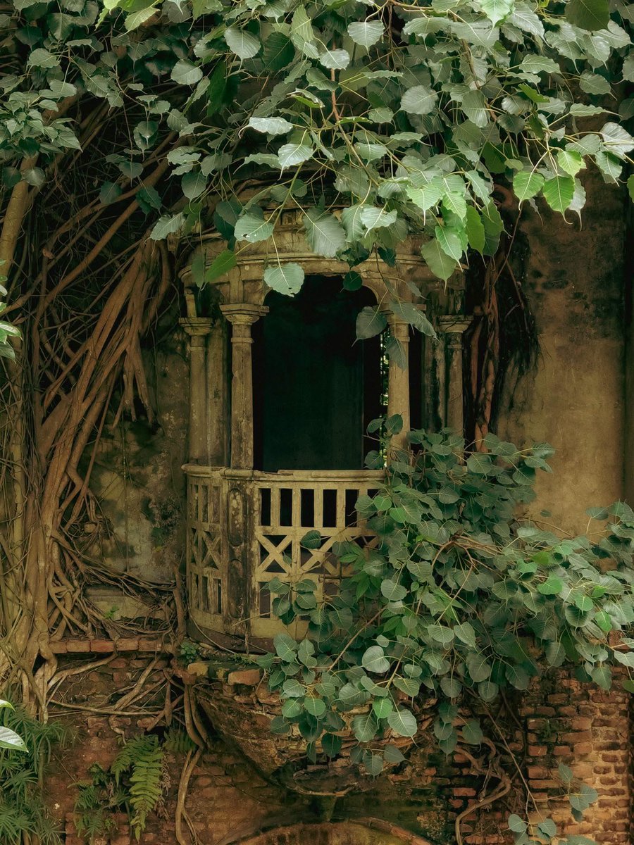 ashraf493439's tweet photo. Every ancient path leads to a forgotten tale https://t.co/iyToM6HwkK