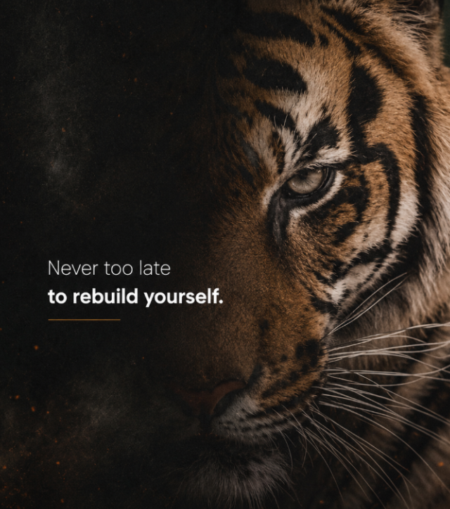 CodebyPeter's tweet photo. Rebuild. Rise. Repeat. https://t.co/j8I6FCpPFZ
