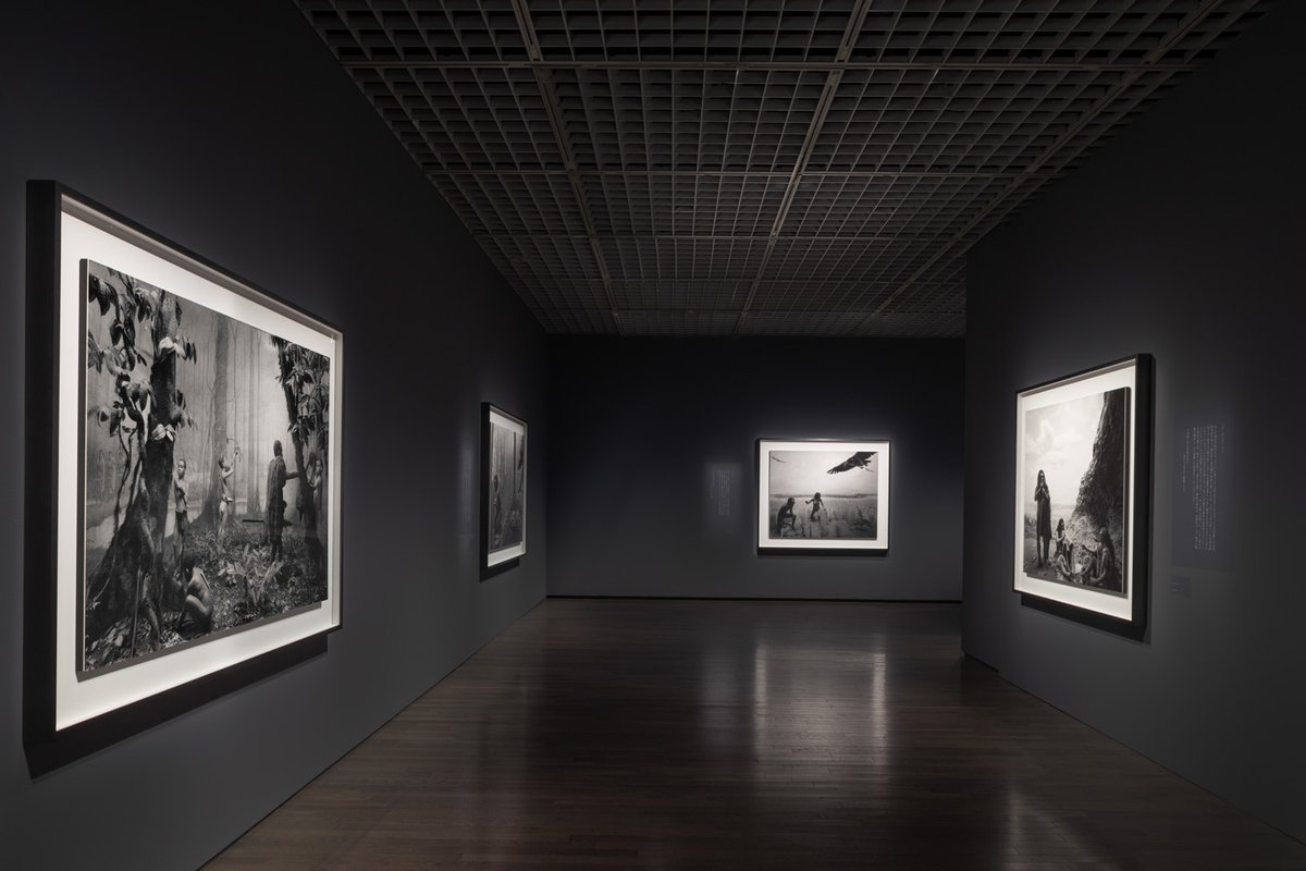 MOMAT_museum's tweet photo. 展覧会「杉本博司　絶滅写真」では、アメリカ自然史博物館のジオラマ展示を命ある動物のように切り取った〈ジオラマ〉や、太古の人々も見た水平線から着想を得たという〈海景〉など、13のシリーズを通じて杉本氏による写真作品の展開をたどります。壮大な時間の中で立ち現れる「絶滅」というテーマに注目してご覧ください。
https://t.co/tPekhnEE7y

Photo: ©Sugimoto Studio
#杉本博司
#絶滅写真