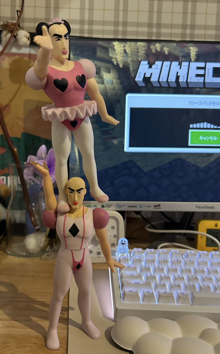 Ryoooon666's tweet photo. ほんで洗濯物干して戻ってきたら
絶妙なバランスで置かれたマカオとジョマおった
キャラ渋滞してる家の中 https://t.co/7GsVbEB9k9