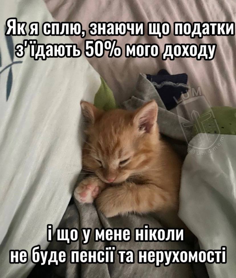 owlwaff's tweet photo. https://t.co/Bn6A84xvyd