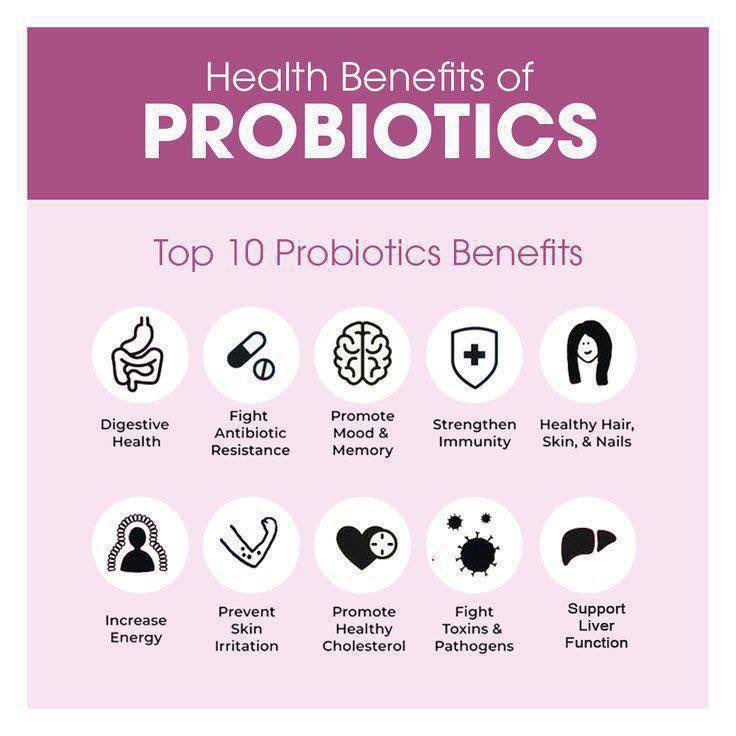 bckupacc99's tweet photo. This one prebiotic and probiotic bagus untuk gut health. Bila dalaman sihat, luaran akan nampak cantik juga. 

✅ melawaskan
✅ pudarkan parut 
✅ masalah keputihan

I sendiri dah try setiap hari mesti membuang. 

🔗 https://t.co/LkaFnfpqIt
🔗  https://t.co/phiP3icisA https://t.co/7T29y4YMHJ