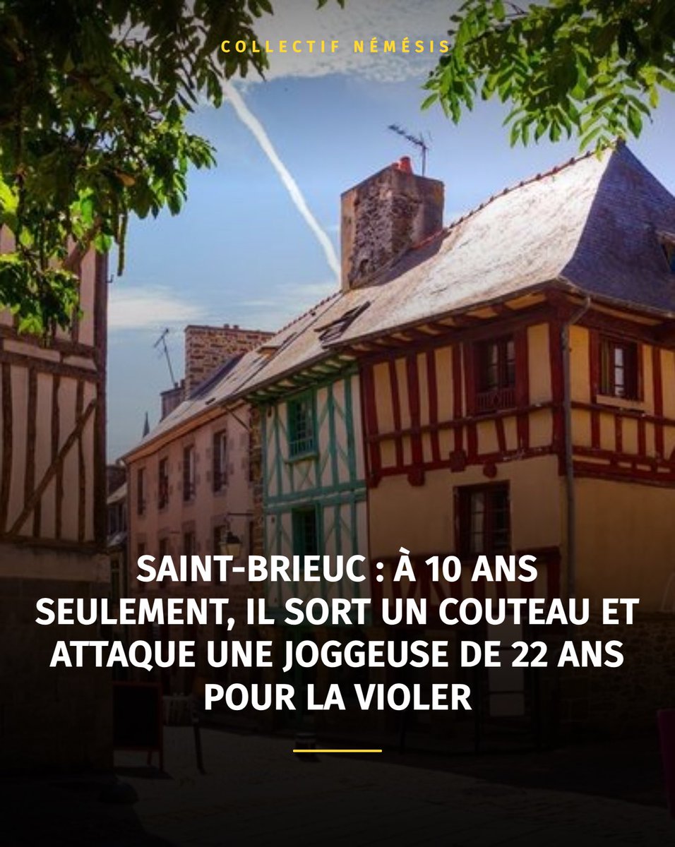 Collectif Némésis tweet media