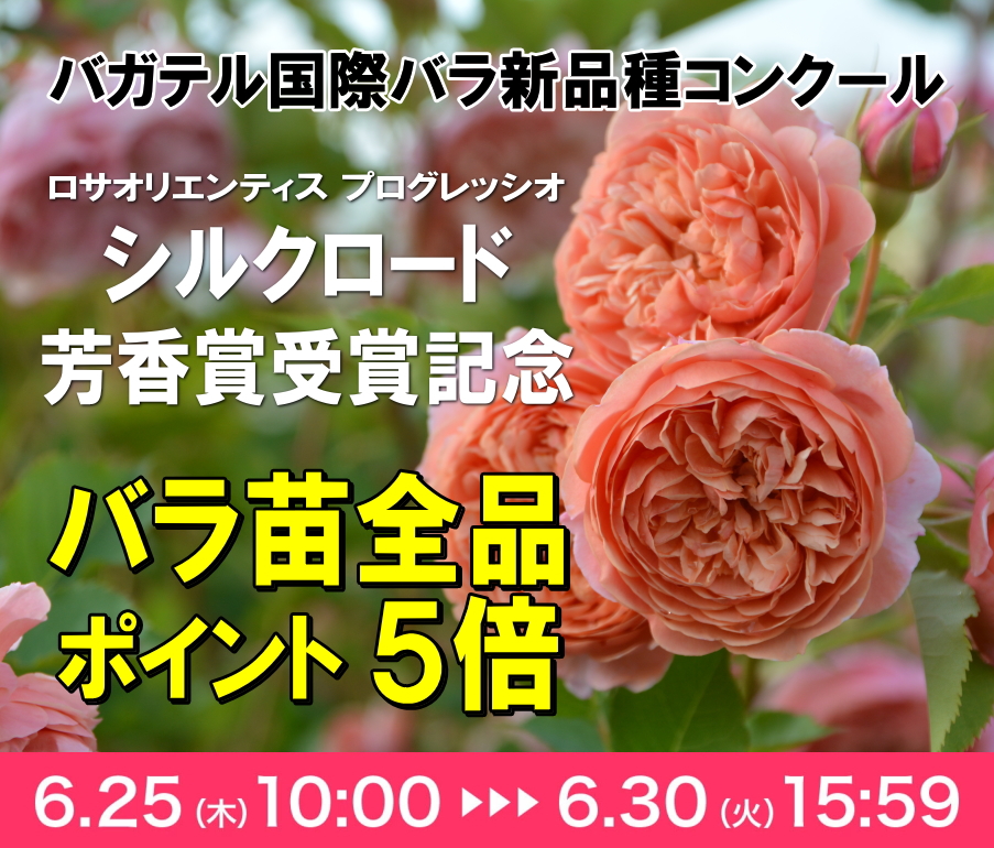 バラの家 公式本店 Rosa Orientis (@rosa_orientis) / Posts / X