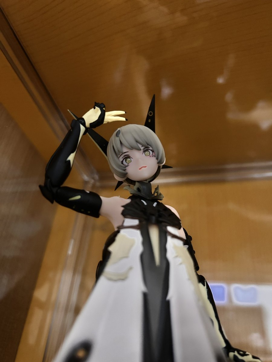 miyaemon_C's tweet photo. ウチのナナミさん。
可愛すぎる！！！ https://t.co/WjKBjPTuS4