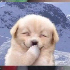 filmksw's tweet photo. 🥺🤏 #SUNOO https://t.co/xozz0A15IM