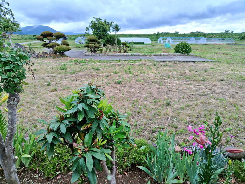 IQIzeLVjWf66651's tweet photo. 本日もお疲れ様でした
田んぼアートではないけれど
実家の管理は除草剤

管理が大変😭

おやすみなんしょ😴 https://t.co/C8wn02HRbl