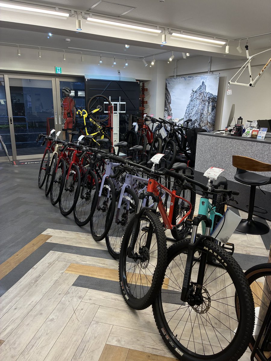 Plus1bicycles's tweet photo. Domane AL 44サイズもあります🚵‍♀️ https://t.co/ZJkeGqNcG0