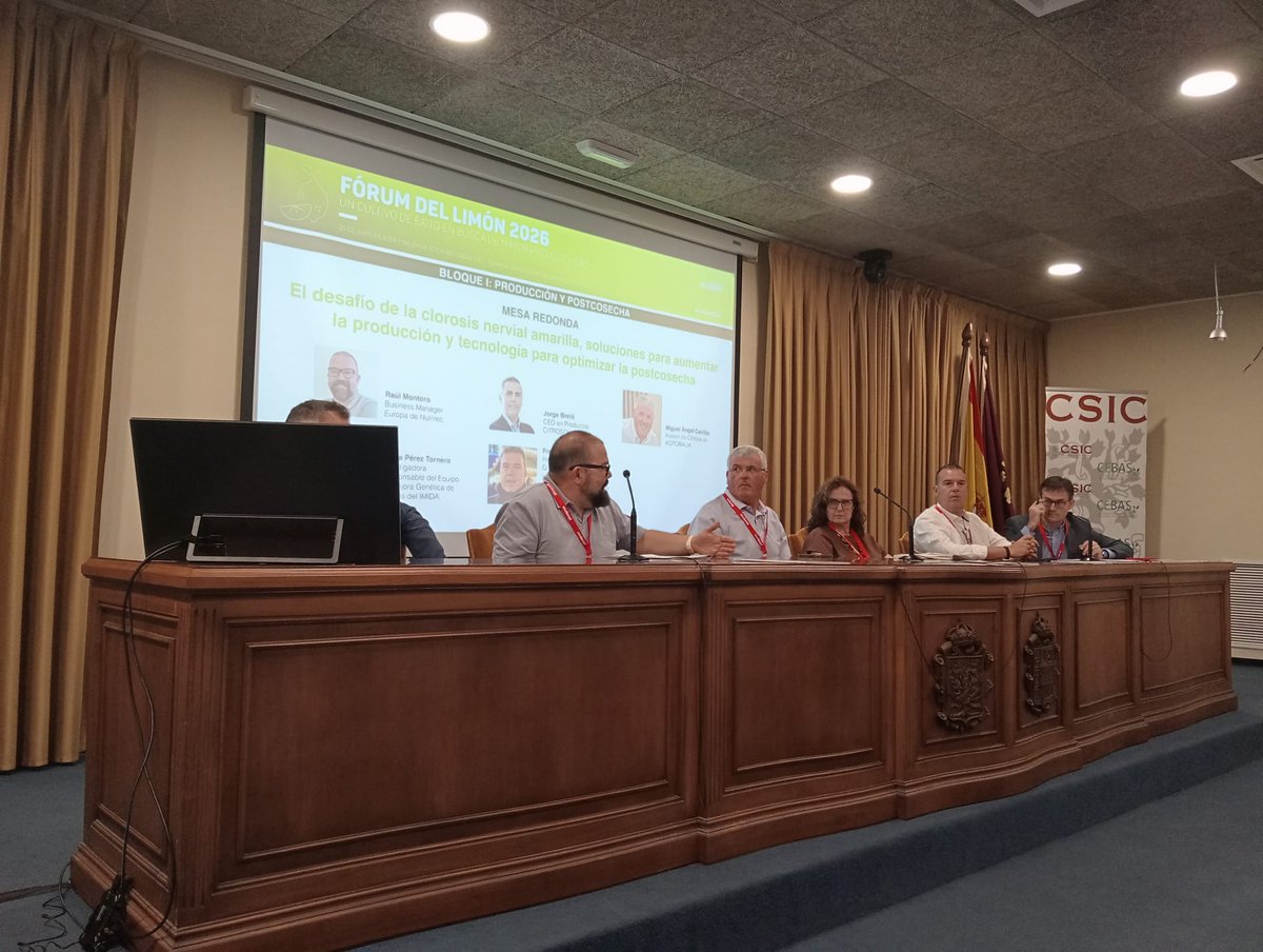 CEBAS_CSIC's tweet photo. 🍋 El Forum del Limón ha reunido hoy en el CEBAS-CSIC a 150 expertos en el cultivo del limón para analizar los principales retos a los que se enfrenta el sector y compartir posibles soluciones desde la investigación, la innovación y la colaboración 🤝. https://t.co/hmTwrSLQAI
