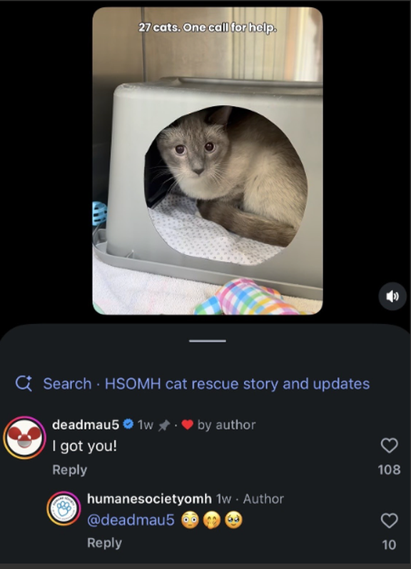 AMAZlNGNATURE's tweet photo. Deadmau5 donates $30,000 to help save 27 rescued cats

The Canadian DJ covered the full medical costs for 27 cats and kittens rescued from a single household in Ontario. He later adopted one of the rescued cats himself and encouraged others to give the remaining cats a home https://t.co/9yIEbRhIu5