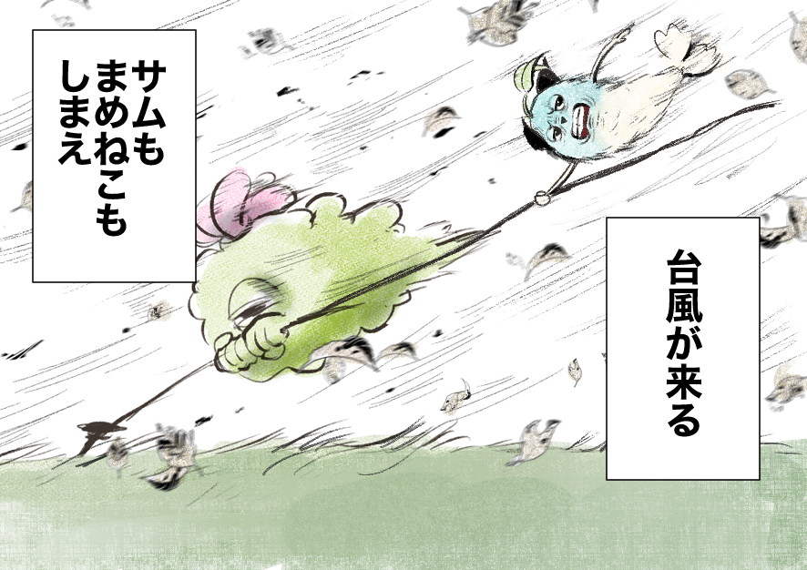 また台風来るそうなので加筆と再掲 