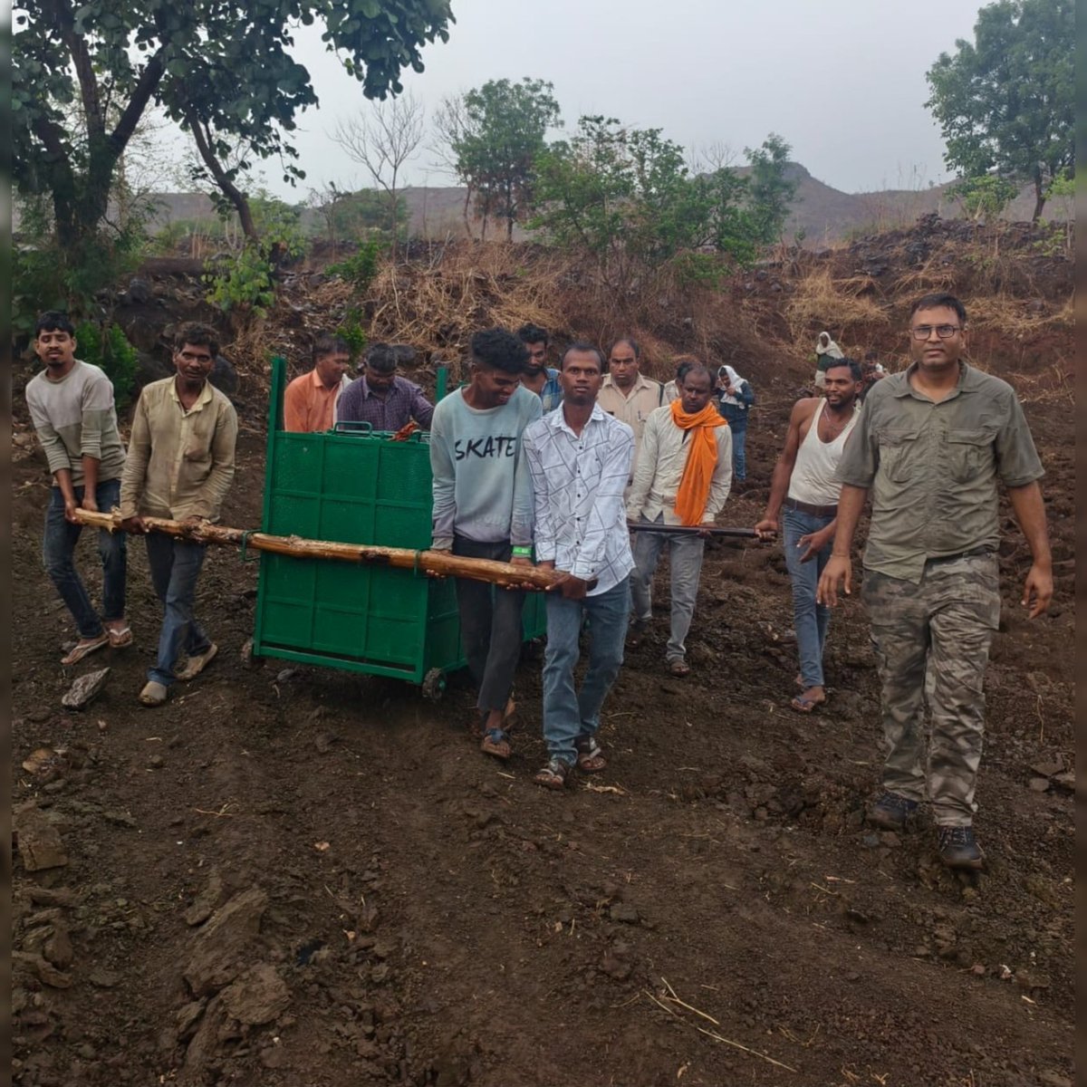 DfoDhar3028's tweet photo. On 24 June 2026, an approximately 9-month-old leopard cub was found in a weak condition during a routine patrol in Banjari Beat, Mandav Range.
Based on expert advice, the cub was shifted to Van Vihar National Park, Bhopal for specialized treatment and monitoring. #mpforest https://t.co/v7uP5z2fXN