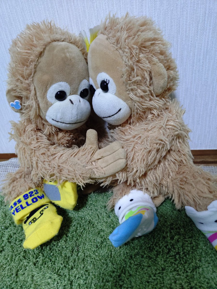 coconastu1's tweet photo. 無事、仙台の社宅に到着
ココとナツ、スーツケースというハウスから出してもらえて、

地震怖かったね🙈🙈🌸

と、話してます
#ベイビーココ https://t.co/Fr6Ho73PSu