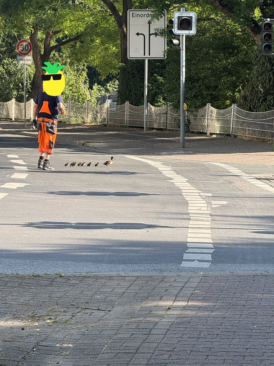 ebbiliip's tweet photo. Bu sabah işe giderken karşılaştığım bu manzara günümü güzelleştirdi…Böyle tatlı bir an, insanın içini ısıtmaya yetiyor…. 🦆✨ https://t.co/dLXeHgRJ4a