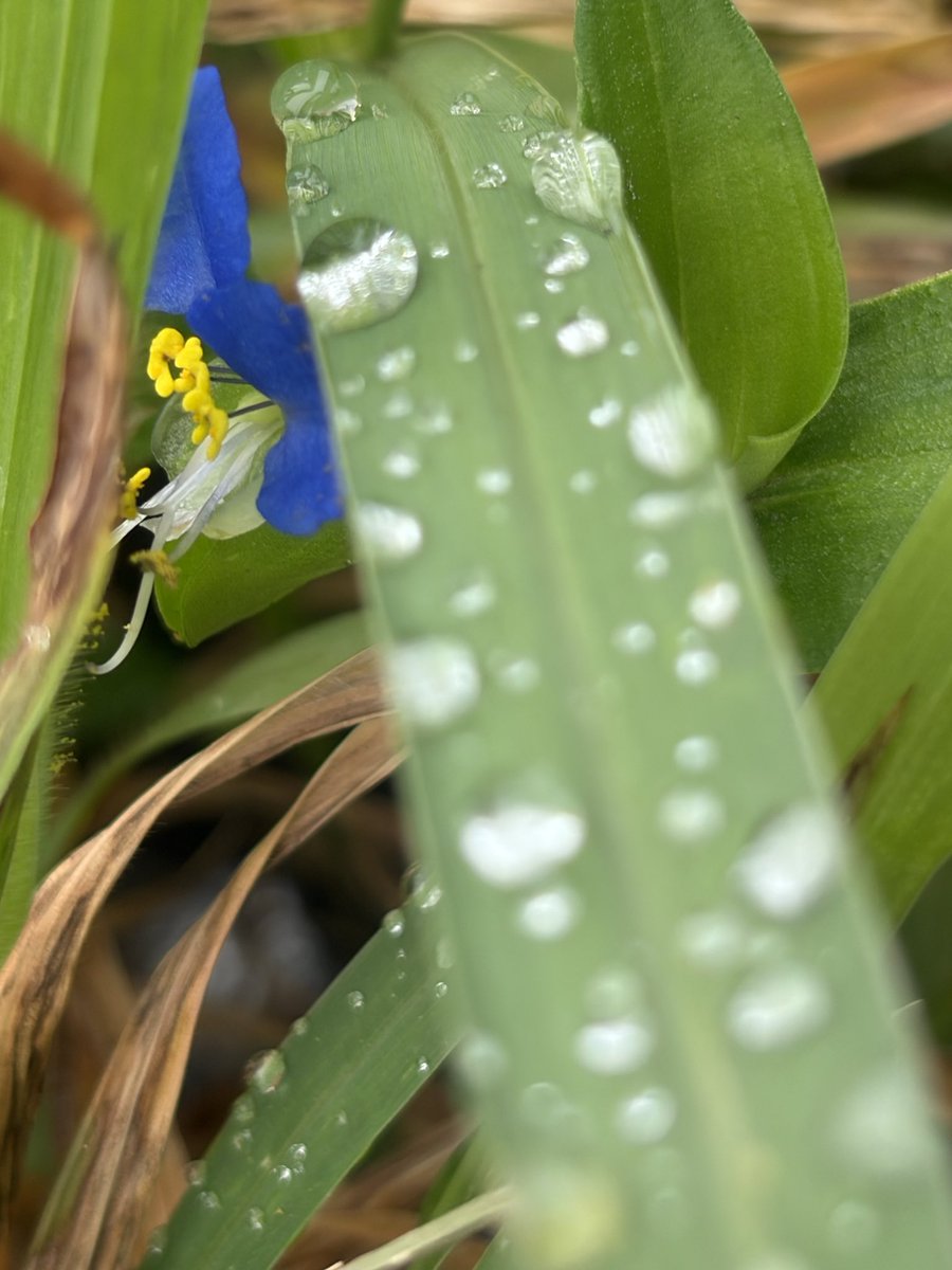 RiskyPower335's tweet photo. 雨は好きですか？

今日という日の時系列雨
4枚目がなう(2026/06/25 18:59:55)内津峠SA（春日井市） https://t.co/KjwhNFkjux
