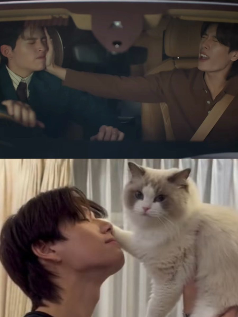twixtpp's tweet photo. เป๊ะเลย เมื่อคุณอยากจุ๊บแมว… 555555555

PEACH AND ME TRAILER

#PeachAndMeSeries https://t.co/eTEmWYo5Uv
