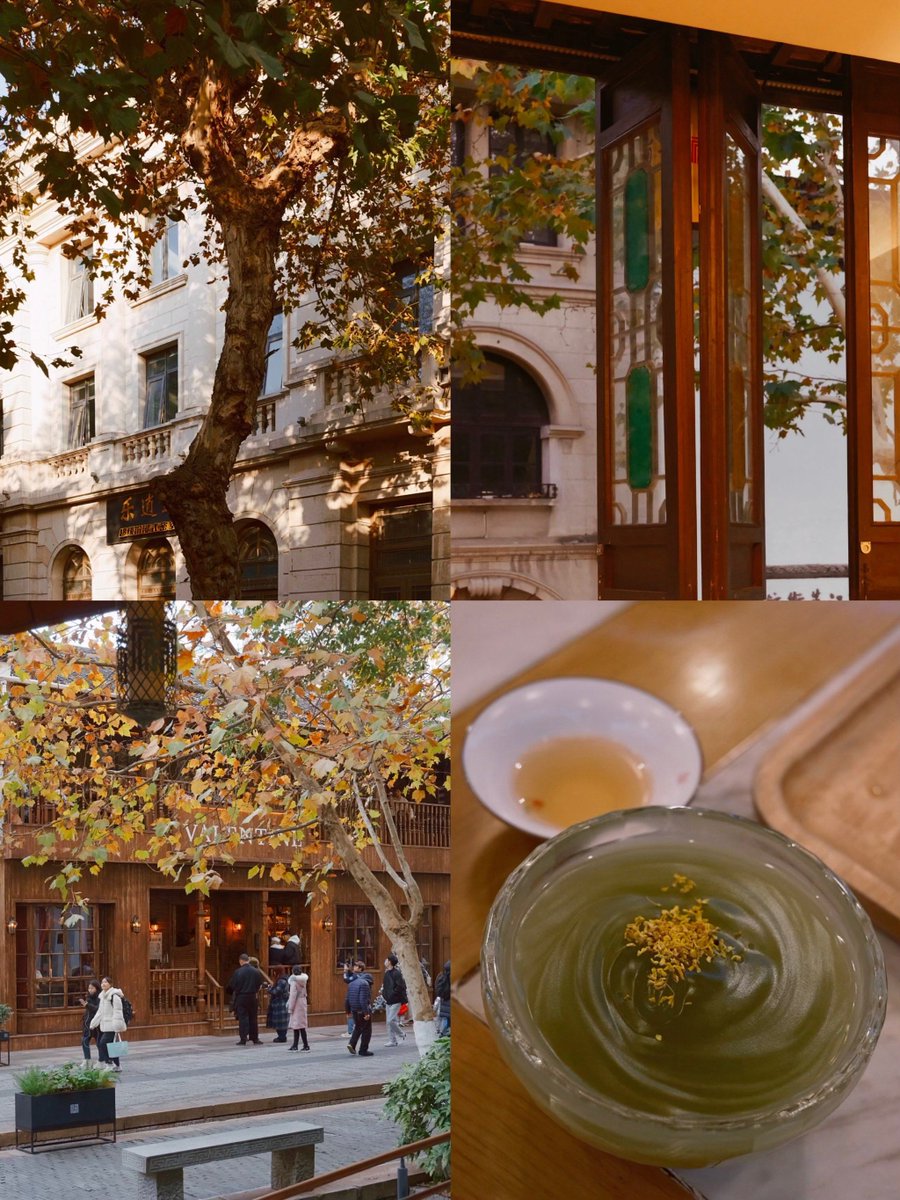 Ingutis1's tweet photo. [Sweater weather is officially here! Crisp air, golden leaves, and that cozy morning coffee hit different. ]， https://t.co/6cTNwcixdH