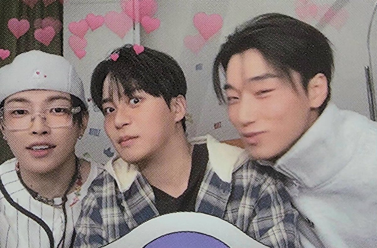 heartinsani's tweet photo. 🐿️🐻😽 https://t.co/FILkuVLMcN