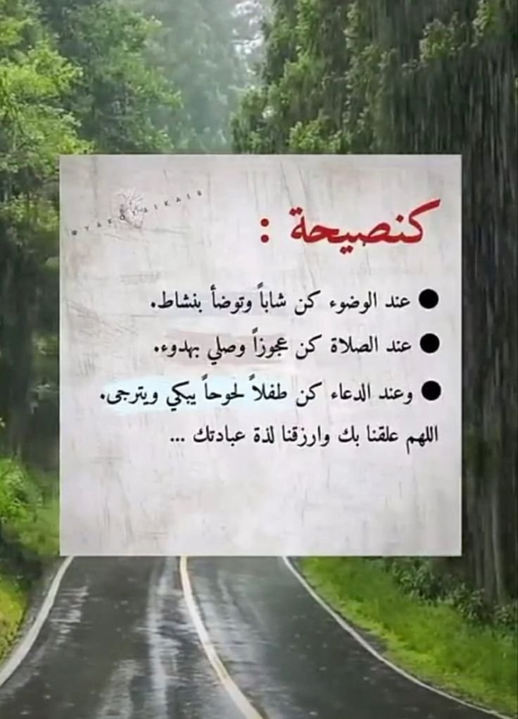 💮🌷الــــريــم🌷💮 tweet media