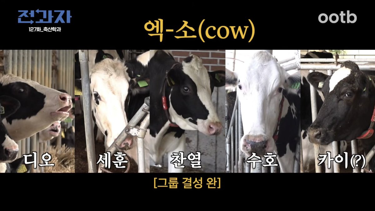 부농 tweet media