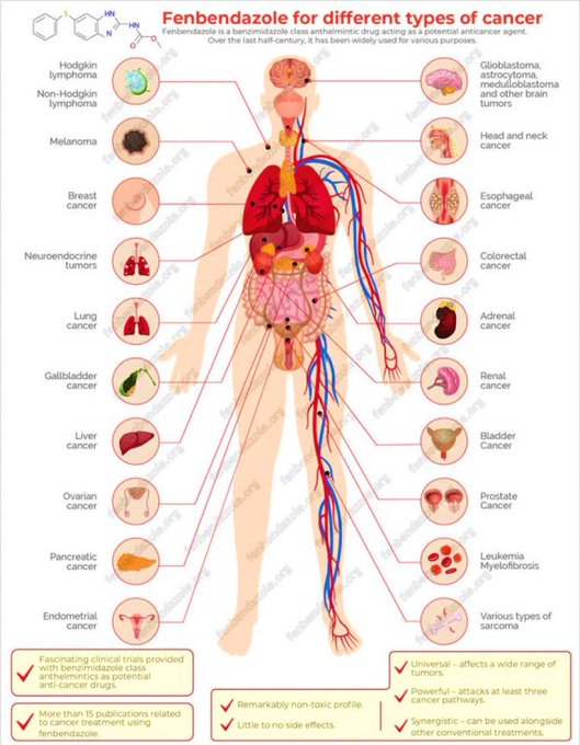 Ivermectinkart's tweet photo. How Fenbendazole treats different types of cancer… https://t.co/DIWMM1NM7w